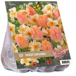 Baltus Urban Flowers Sweet lingery bloembollen per 10 stuks